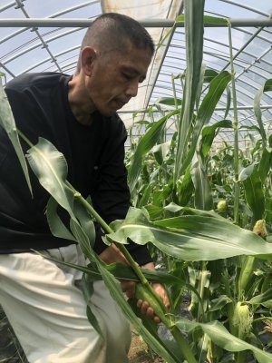 20250905183342.JPG（750px × 1000px）